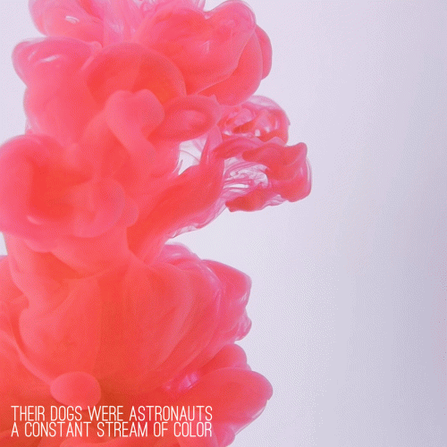 Their Dogs Were Astronauts : A Constant Stream of Color